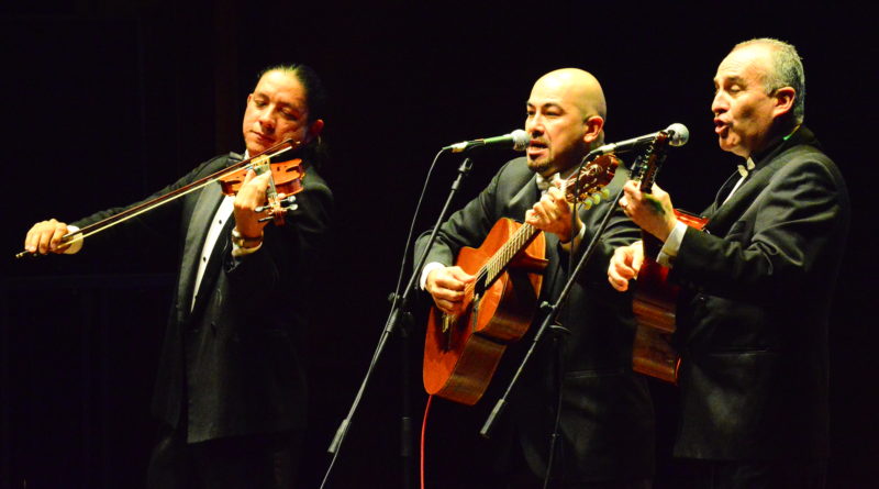 Brillando en la Escena del Festival Mono Núñez: Un Escenario para los Maestros de la Música Tradicional